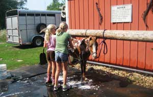 girls washing horse on hitching post pad